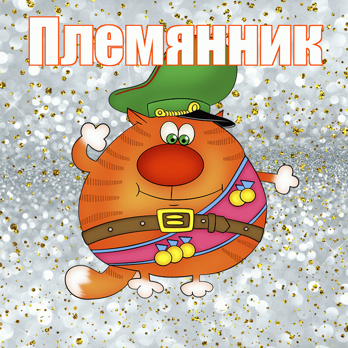 Племянник! С днём защитника Отечества! Красивая открытка для Племянника! Гифка с прикольным котом на 23 февраля.